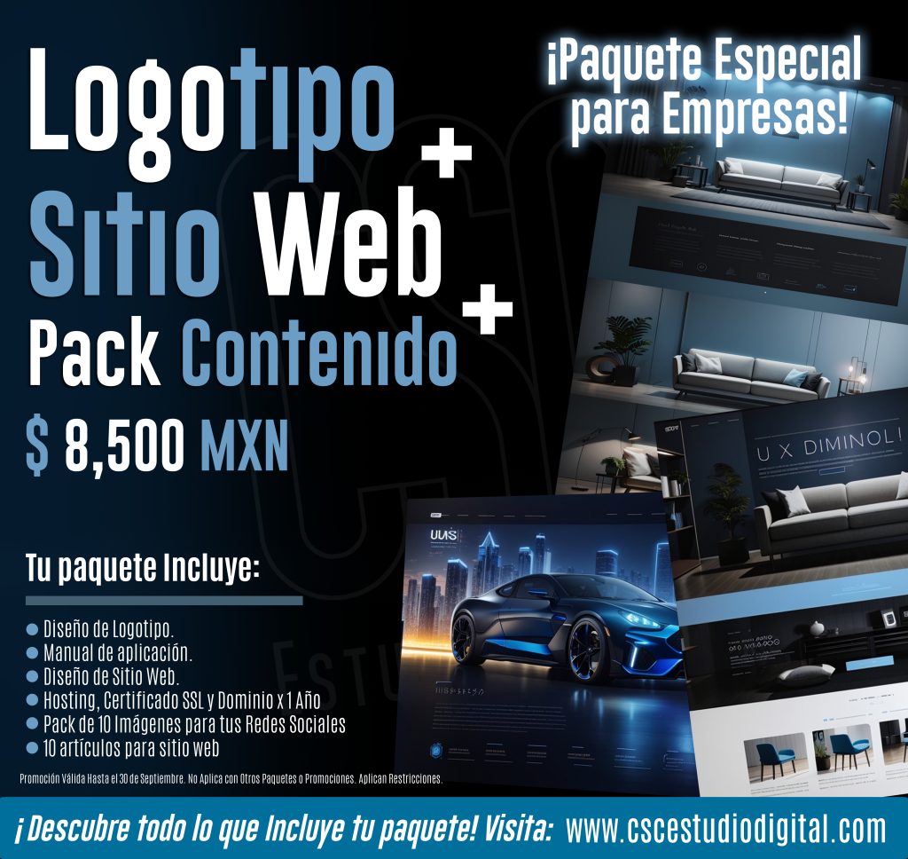 Promo Paquete diseño de logo y sitio web 2023