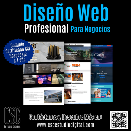lindavista, agencia de desarrollo web, paginas web profesionales, elaboracion de paginas web, elaboracion de paginas web, diseño de páginas web económicas